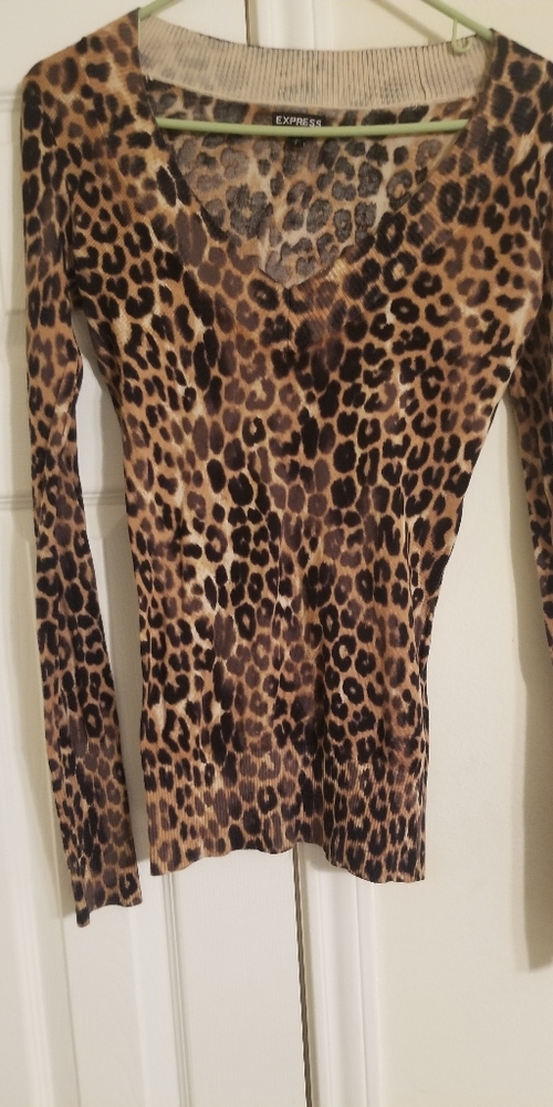 Express leopard print sweater in size Small